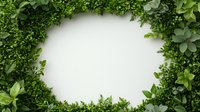 Fresh green leaves and foliage creating natural round frame border on white background, isolated design element for creative layouts and compositions.