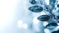 Frozen winter leaves covered in frost and ice crystals against blurred bokeh background in cool blue tones, creating serene natural macro photography.