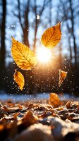 Golden autumn leaves falling in sunlight with magical bokeh effect and snow sparkles, creating atmospheric seasonal nature scene in forest at sunset.