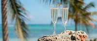 Two champagne flutes filled with sparkling wine on driftwood with tropical palm trees and turquoise ocean background for celebration and luxury vacation.