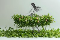Young woman with flowing hair dancing gracefully among lush green foliage and delicate pink flowers on white background for creative design projects.