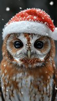 Adorable barn owl wearing Santa hat with falling snow, close-up portrait showing detailed feathers and large expressive eyes against dark background.