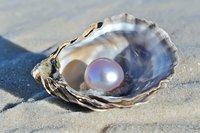 Open oyster shell with lustrous pearl resting on sand beach, showcasing natural gem formation and coastal seashore treasure for luxury, jewelry, and marine life themes.