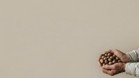 Hands holding chocolate cereal balls in cupped palms against neutral beige background, suitable for food packaging, breakfast advertising, and nutritional content design.
