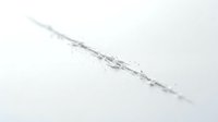 Thin branch covered with frost crystals and ice particles on white background, isolated element for winter design projects and seasonal compositions.