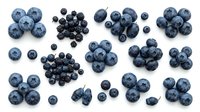 Fresh blueberries and blackberries isolated on white background, arranged in clusters for food, nutrition, and culinary design projects.