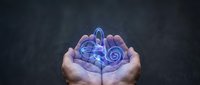 Cupped hands holding glowing blue digital brain with neural networks and circuits, representing artificial intelligence and machine learning technology.