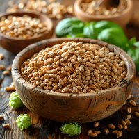 Raw barley grains in rustic wooden bowl with fresh green hops on dark wooden table. Natural ingredients for craft beer brewing and healthy eating concept. Organic whole grain cereal.