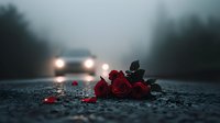 Red roses lying on dark asphalt road with blurred car headlights in foggy background creating moody atmospheric scene for romance, loss or tragedy concepts.