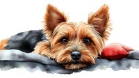 Yorkshire terrier puppy with brown fur lying on gray bedding, close up portrait of cute yorkie dog face with alert ears and black nose. Watercolor style.