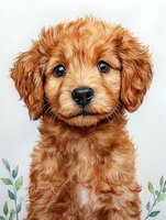 Adorable golden Cavapoo puppy portrait with big blue eyes and fluffy fur against light background with watercolor greenery elements, suitable for pet-themed designs.