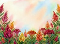 Watercolor celosia flowers border in vibrant red, orange, and pink tones on soft pastel background with copy space for text.