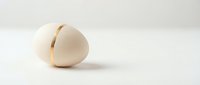 Minimalist geometric composition with cream and gold abstract shapes on neutral background for modern interior design and contemporary art projects.