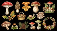 Mushroom and forest elements collection isolated on transparent background, ready for t-shirt design, clipart, stickers, print-on-demand products and sublimation projects.