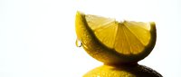 Fresh lemon slice with a dripping drop on white background, showcasing vibrant yellow citrus texture and juicy pulp for food and drink concepts.