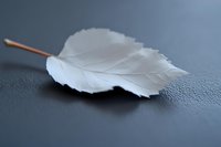 Single white birch leaf on dark textured surface with delicate veins and natural stem creating minimalist composition with soft lighting and shadows.