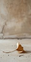 Dried autumn leaf with brown and white coloring resting on concrete ground with blurred neutral background, suitable for minimalist design, fall season concepts, and nature-inspired projects.