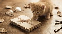 Adorable orange tabby kitten exploring vintage letters tied with twine on rustic wooden surface surrounded by autumn leaves and old keys.