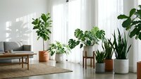 Modern living room interior with collection of green houseplants in stylish pots creating natural home decor atmosphere with bright sunlight filtering through windows.