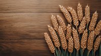 Golden ripe wheat ears on dark wooden background with copy space. Natural agricultural harvest concept for bakery business and farming.