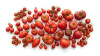 Fresh red tomatoes variety collection including cherry, beefsteak, roma and heirloom types isolated on white background for healthy cooking and nutrition.