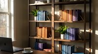 Modern wooden bookshelf with colorful books and green plants in bright home office interior with natural sunlight streaming through window.