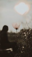 Delicate white rose silhouetted against sunset sky with bokeh light effects and human figure shadow creating dreamy atmospheric mood for romantic designs.