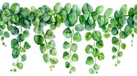 Fresh green eucalyptus leaves cascade downward in watercolor style on white background, creating natural border design for wedding stationery and botanical decor.