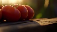 Fresh ripe red tomatoes on rustic wooden cutting board in warm sunlight, creating dramatic shadows and natural bokeh effect in kitchen setting.