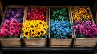 Vibrant fresh flowers in wooden crates at market display including sunflowers, forget-me-nots, carnations and chrysanthemums arranged in rainbow color sequence.