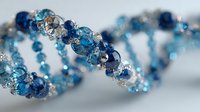 Sparkling DNA helix model with blue and silver crystal beads representing genetic structure, suitable for science education and biotechnology concepts.