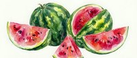 Fresh watermelon slices and whole fruit in watercolor style on white background, summer food illustration for healthy eating and nutrition designs.