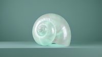Translucent green nautilus shell with spiral chambers on neutral background for natural history and marine biology educational materials.