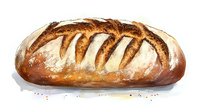 Fresh baked artisan sourdough bread loaf with golden brown crust and distinctive scoring pattern on white background, watercolor food illustration.