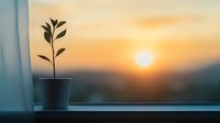 Young plant growing in pot on window sill against scenic sunset background, symbolizing growth, hope, and new beginnings in peaceful home environment.
