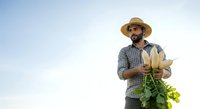 Male farmer with dark beard and Middle Eastern ethnicity wearing straw hat and checkered shirt holding fresh corn and vegetables against clear sky background.
