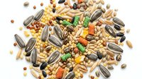 Mixed bird seed blend with sunflower seeds, millet, corn and nuts scattered on white background for pet food packaging and wildlife feeding supplies.