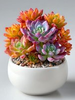 Vibrant colorful succulent plants in white ceramic pot with pebbles, featuring orange, purple, and green rosette formations for home decor or gardening inspiration.