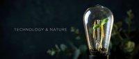 Glowing vintage Edison bulb with warm filament against dark background with green foliage, symbolizing eco-friendly innovation and sustainable energy solutions.