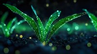 Fresh green plant sprouts emerging from dark soil with sparkling water drops and magical bokeh lights creating dreamy natural macro photography effect.