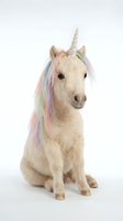 Adorable cream-colored pony wearing unicorn horn and rainbow mane sitting on white background, isolated for fantasy designs and children's projects.