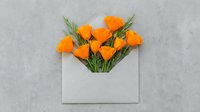 Orange poppy flowers emerging from white envelope on gray concrete background for greeting cards and romantic messages.