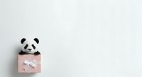 Panda plush toy peeking out from pink gift box with white ribbon bow on white background, isolated for greeting cards and holiday designs.