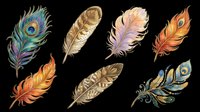 Feather collection featuring peacock, eagle, and decorative plumes isolated on transparent background. Ready for t-shirt designs, clipart, stickers, sublimation, and print-on-demand projects.