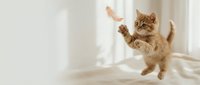Adorable orange tabby kitten jumping and playing on white bedding in bright sunlit bedroom. Playful pet behavior captured in motion for home decor.