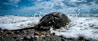 Large rock formation on ocean shore with dramatic wave splash and water droplets against cloudy blue sky. Perfect for coastal nature themes and seascape designs.