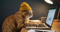 Orange tabby cat wearing yellow knit beanie and glasses typing on laptop computer at wooden desk with coffee mug under warm lamp light for remote work concept.