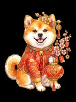 Cute Shiba Inu dog in red festive outfit holding a lantern and cherry blossoms, isolated on transparent background, for stickers, t-shirts, print on demand.