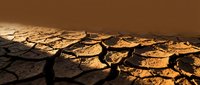 Cracked dry earth surface with deep fissures under warm golden light creating dramatic shadows and textures in arid desert landscape conditions.