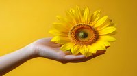 Bright yellow sunflower held in female hand against vibrant yellow background, minimalist composition showing hope, growth and natural beauty. Perfect for wellness concepts.